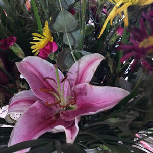 Meet your Posher, Maria